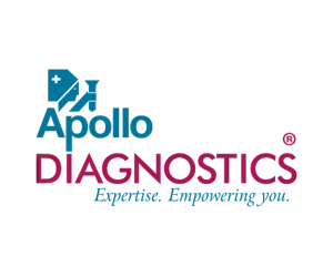 Colleagues reviewing visual concepts together