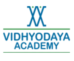 Art boards filled with visual identity concepts