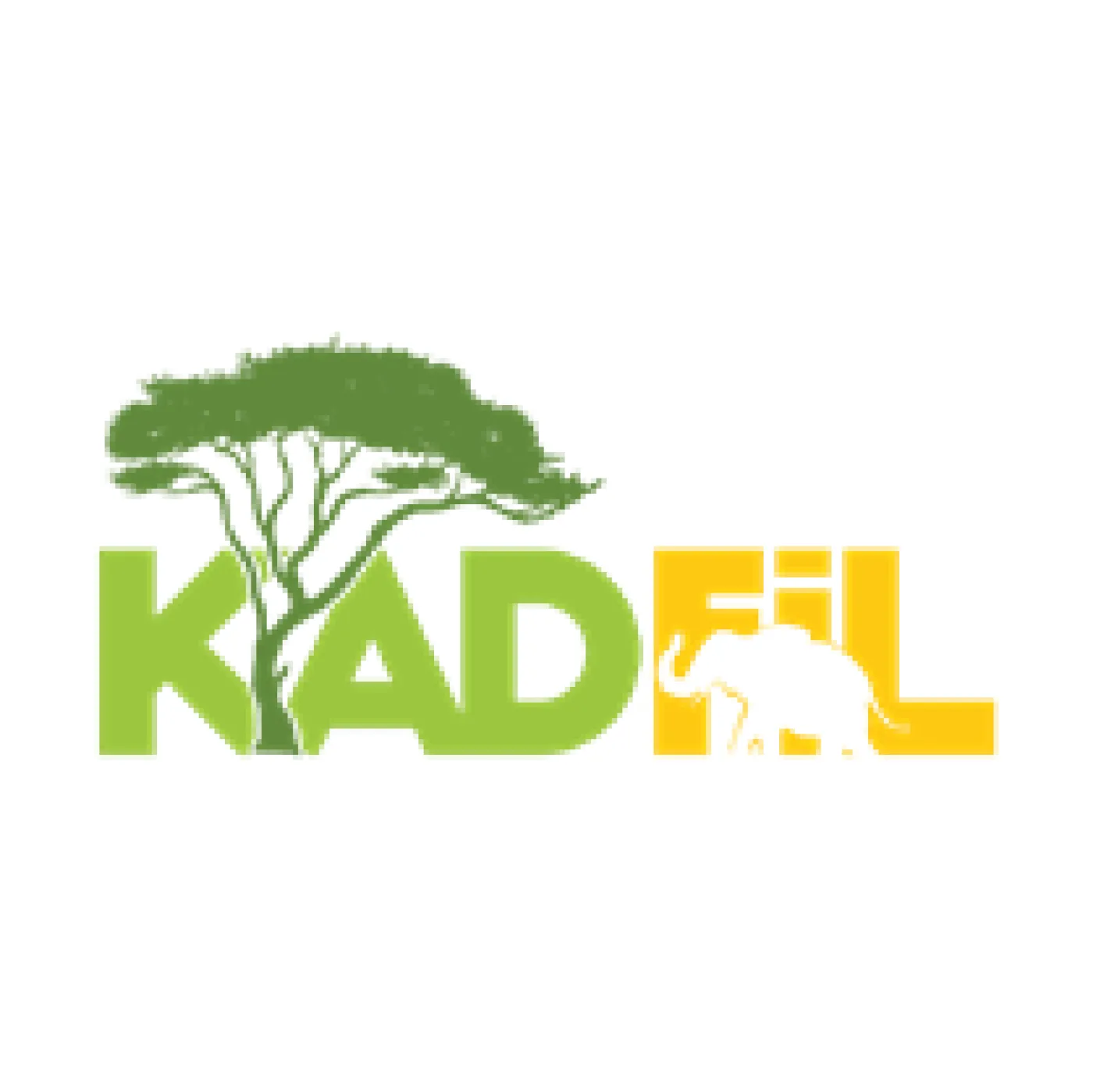 Logo Design 21